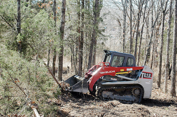 Disc Golf Course Starts to Take Shape